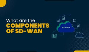 Components of SD-WAN Featured Image