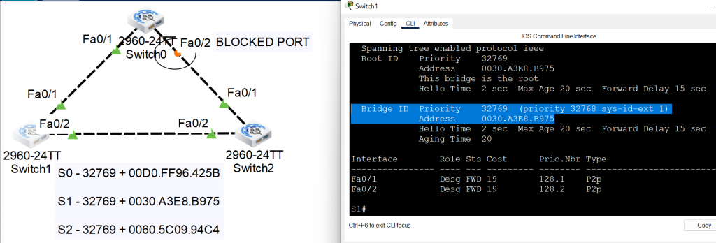 Spanning Tree Protocol (STP) 5 spanning tree protocol
