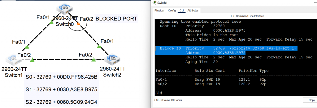 spanning tree protocol