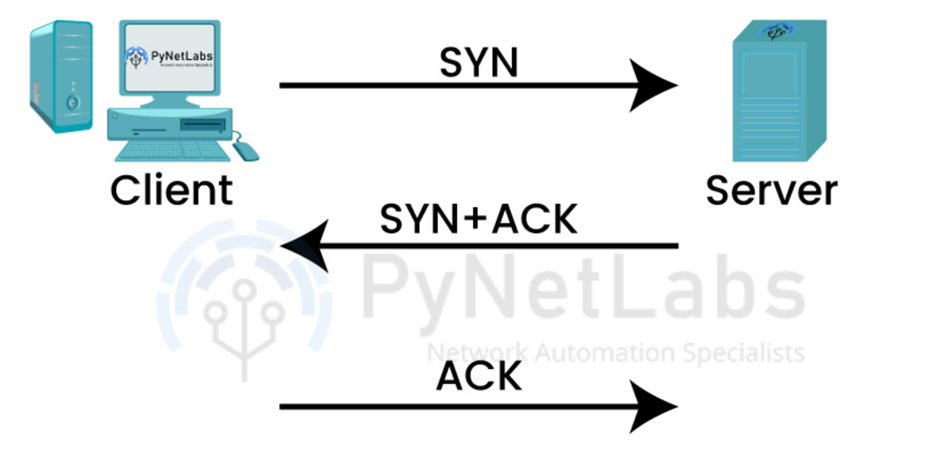 network protocols