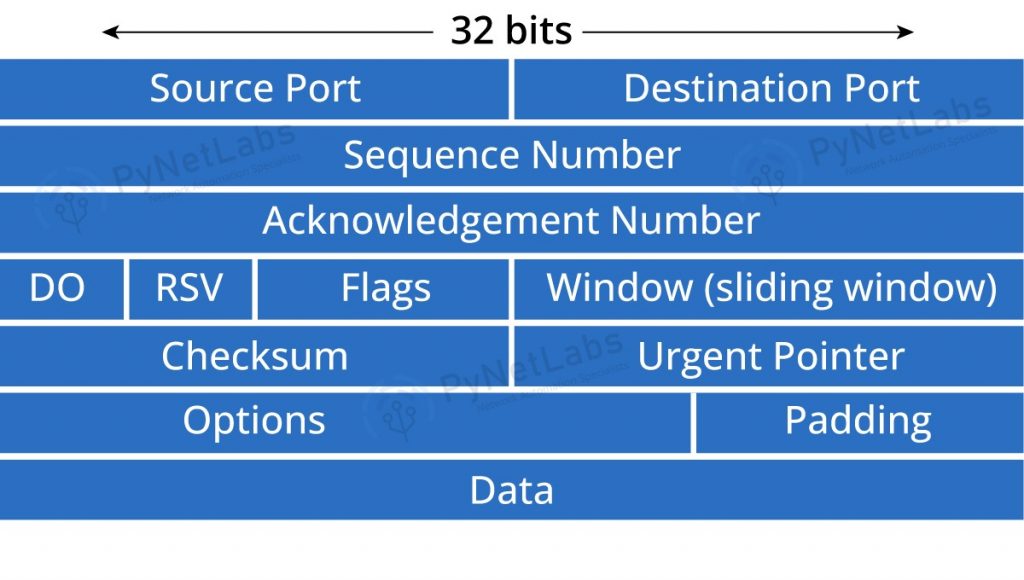 network protocols