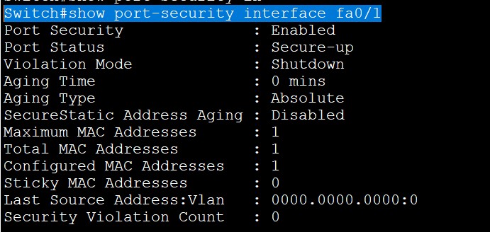 port security interface