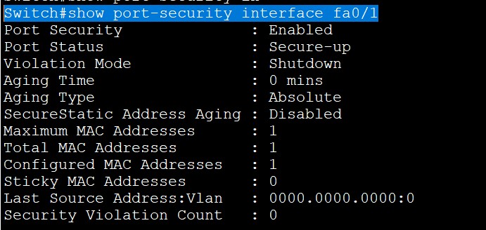 port security interface