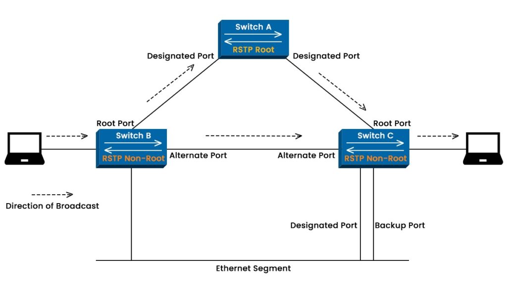 RSTP Port Roles