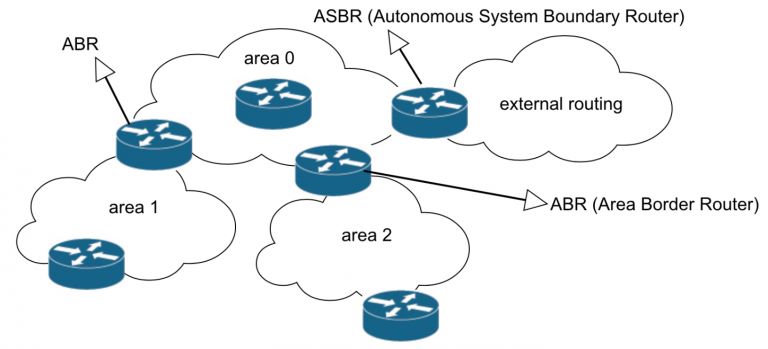 Router Roles in OSPF