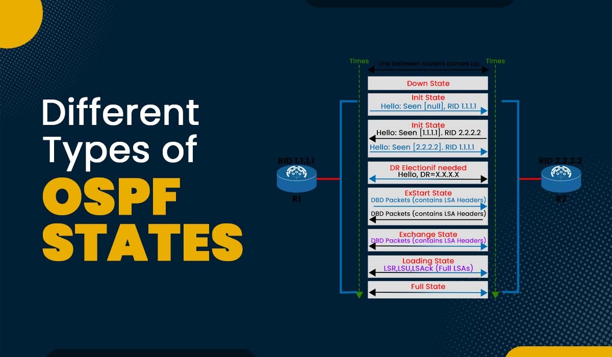 Different Types of OSPF States Featured Image