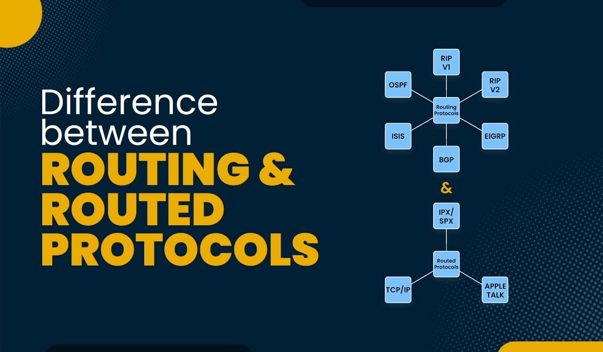 A blog Featured image showcasing the Difference between Routing and Routed Protocols.