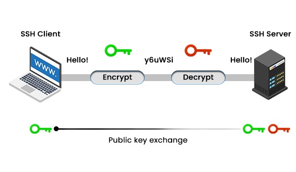 Image showing a connection between an Secure Shell client and an SSH server through the use of public-key cryptography.