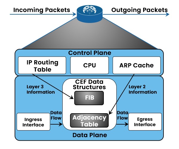 A topology showing the working of CEF with the use of routers and its control plane and data plane