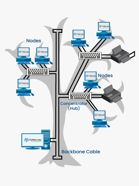 An image showing various nodes and other devices connected to the Backbone Cable