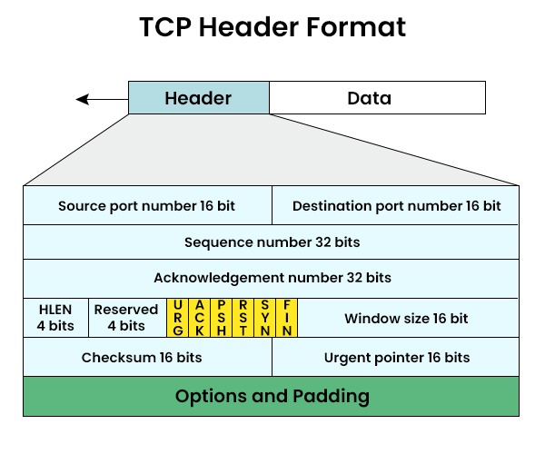 TCP Header Format containing source port number, destination port number, sequence number. acknowledgement number, HLEN, Reserved, etc.
