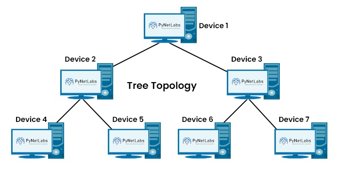 7 Computer Network Devices connected in a tree topology