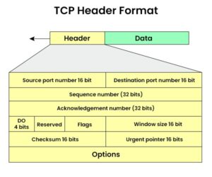 TCP Header - Definition, Diagram and its Format (2025)