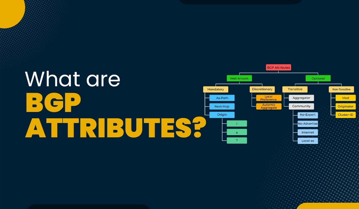 A blog featured image with text - What are BGP Attributes and an image of BGP attribute types.