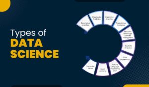 Blog Featured image for a blog with a title - Types of Data Science