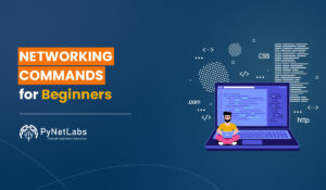 Blog Featured image for a blog with a title - Networking Commands for Beginners