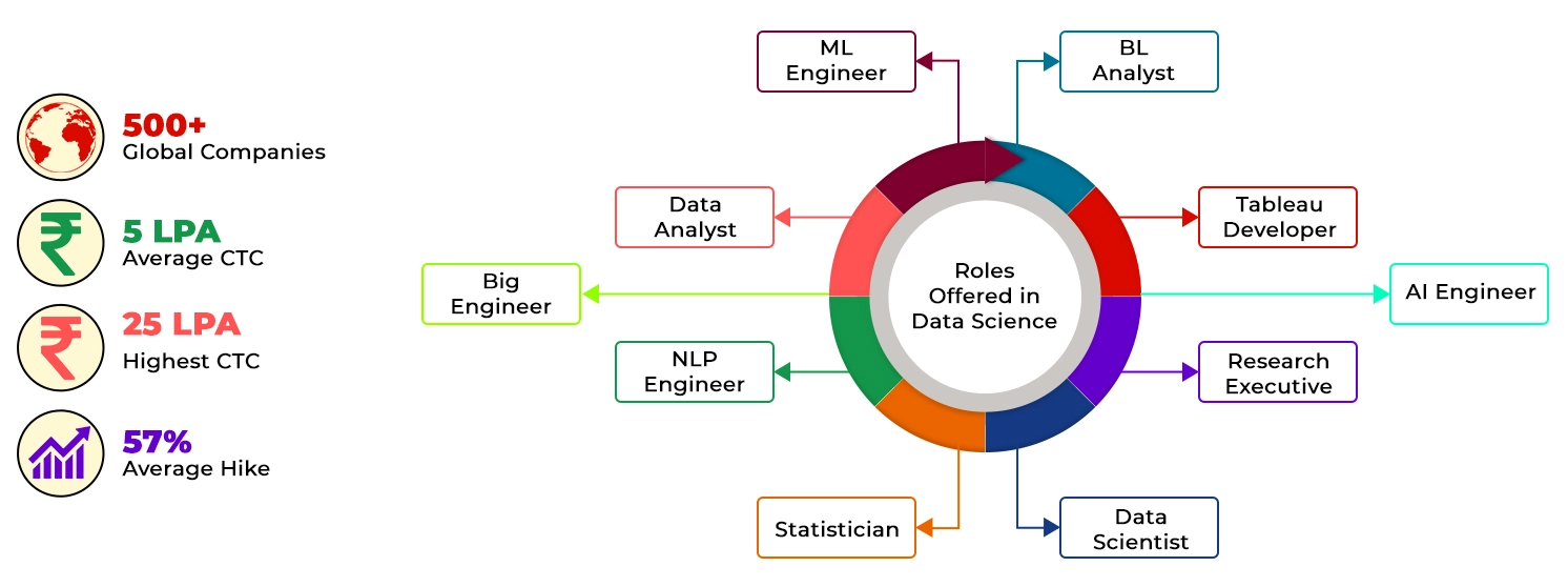 Data Analyst Highlights