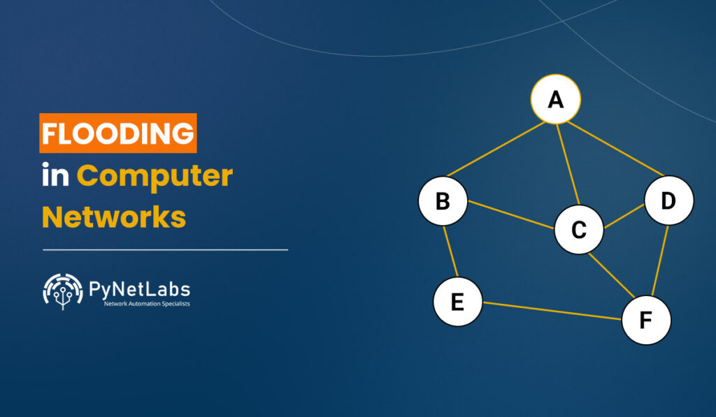 Blog Featured image for blog: Flooding in Computer Networks