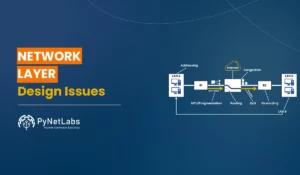 Blog Featured image for blog: Network Layer Design Issues