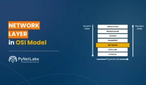 Blog Featured image for blog: Network Layer in OSI Model.