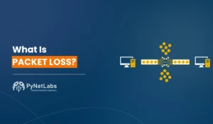 What Is Packet Loss