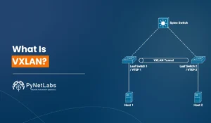Blog featured image for the blog: what is vxlan