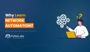 Blog featured image for the blog: Why Learn Network Automation?