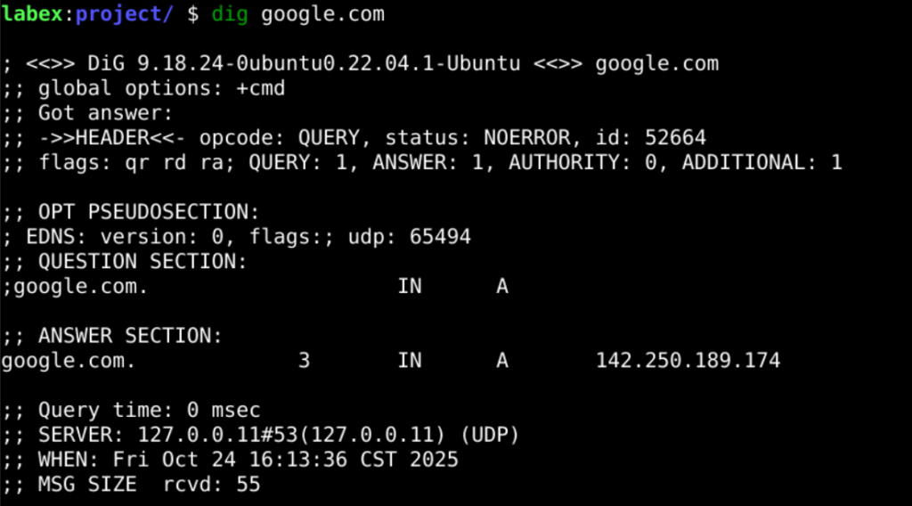dig command in linux