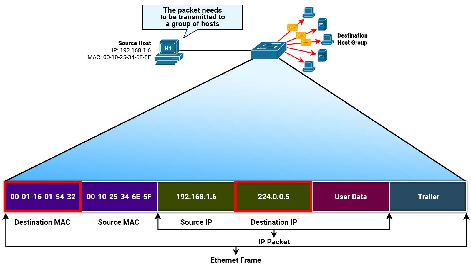 What is MAC Address? Types, Uses & How to Find It (2026)