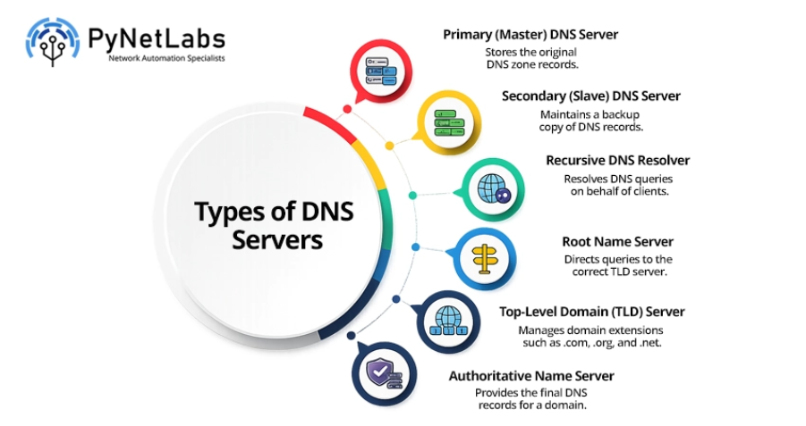 “Describing the Types of DNS Servers”