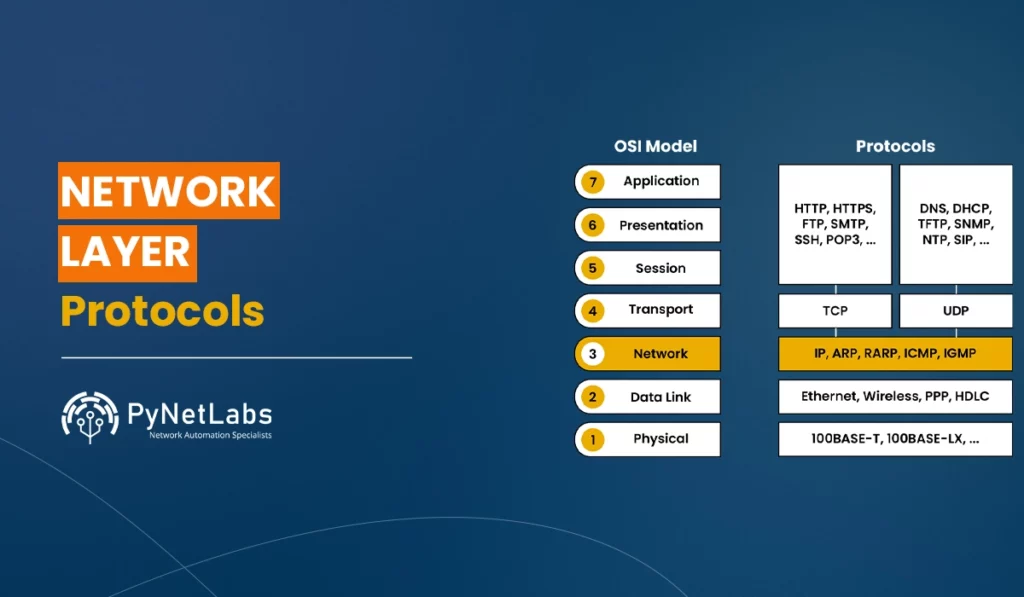 Blog Featured image for blog: Network Layer Protocols